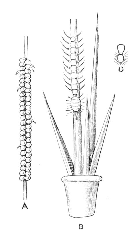 fig303