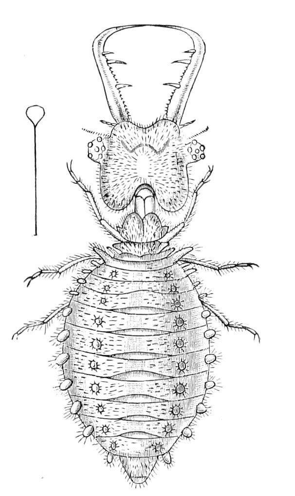 fig304