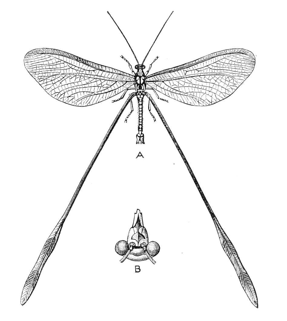 fig305