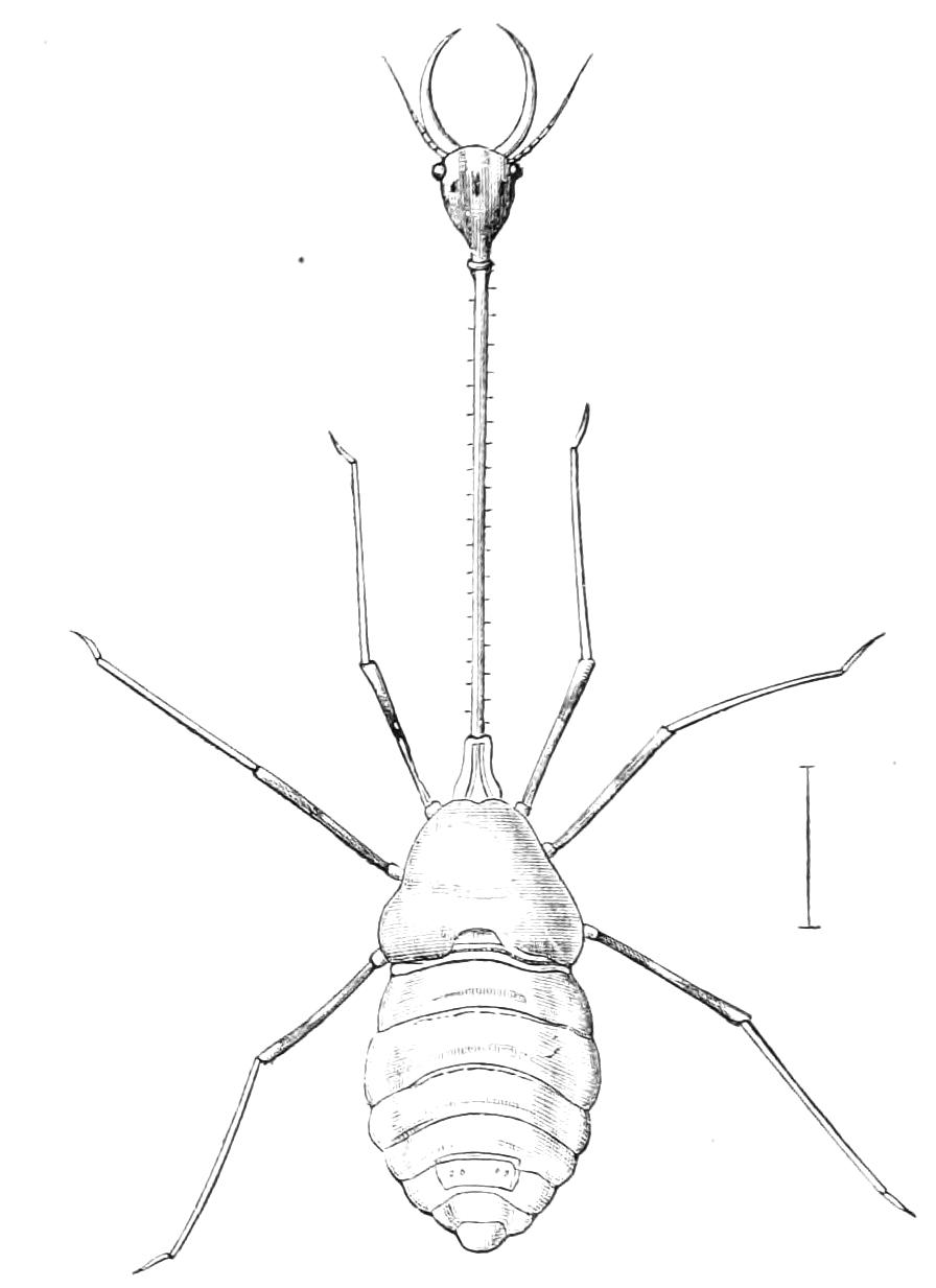 fig306