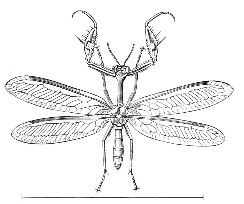 fig307