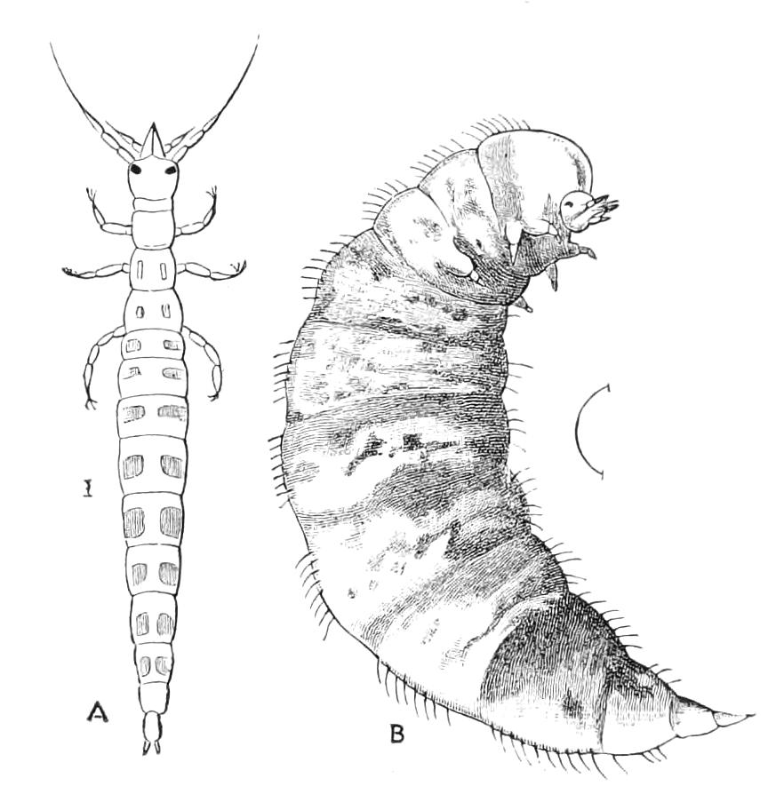 fig308