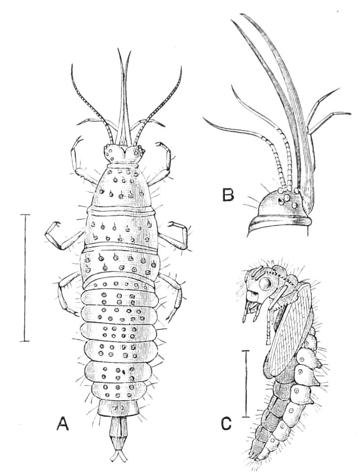 fig309