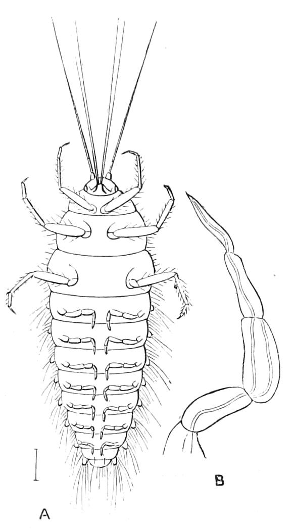 fig310