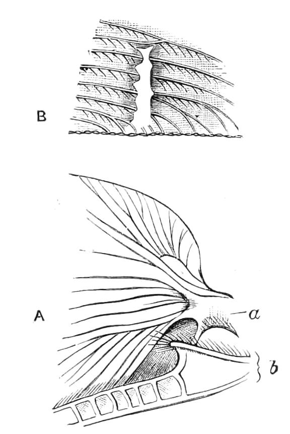 fig312