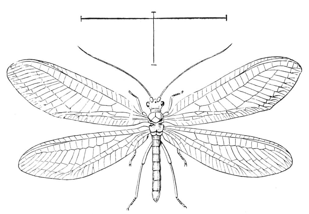 fig313