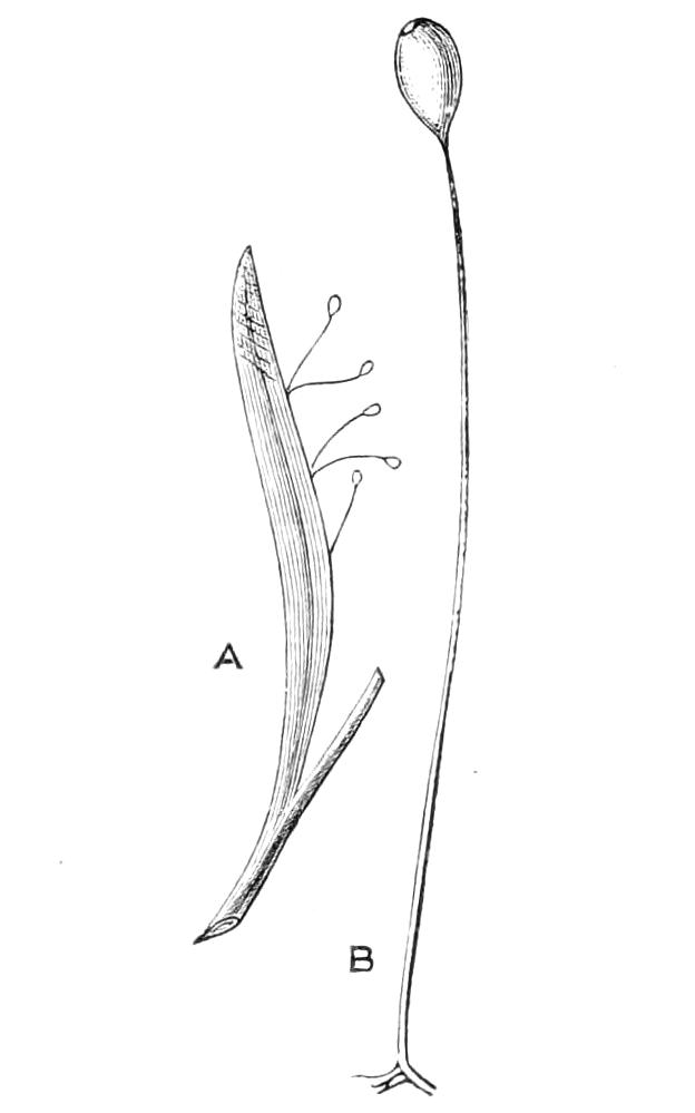 fig314