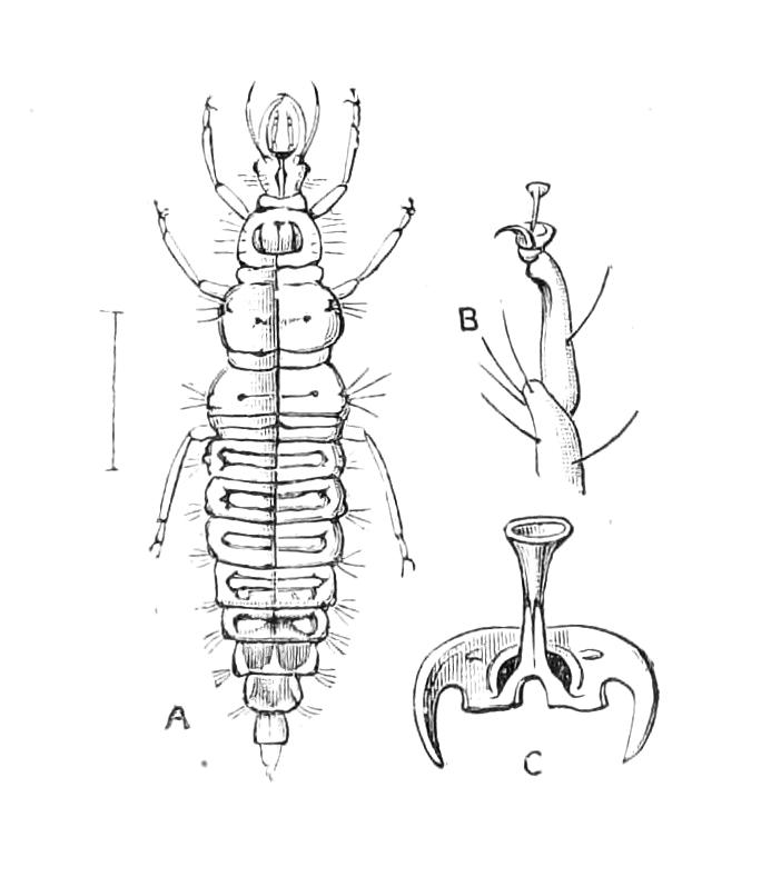 fig315