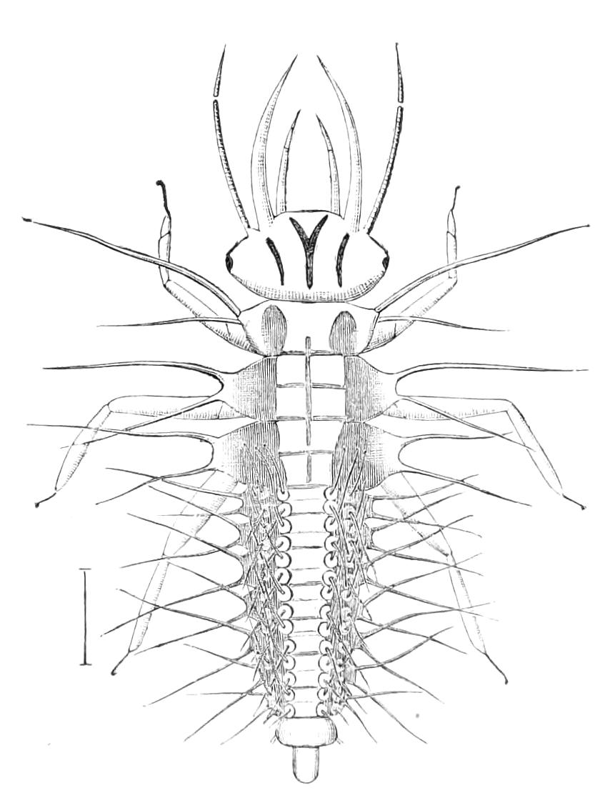 fig316