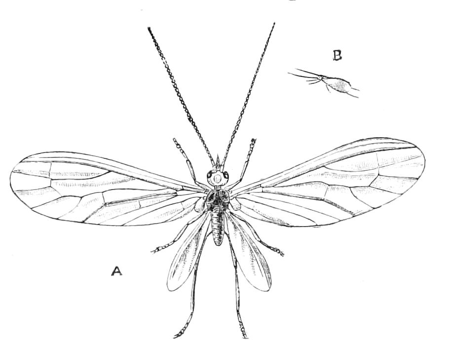 fig317