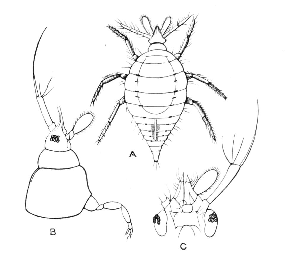 fig318