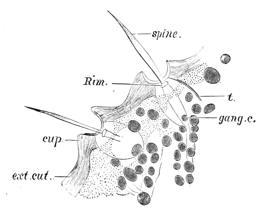 fig32