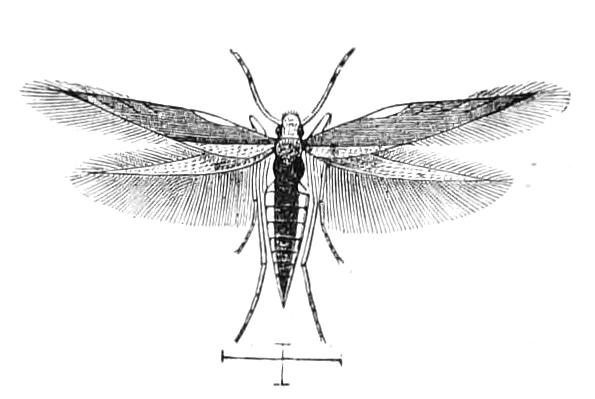 fig320