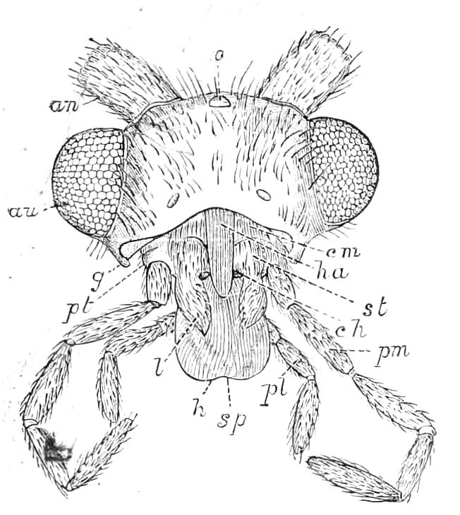 fig321