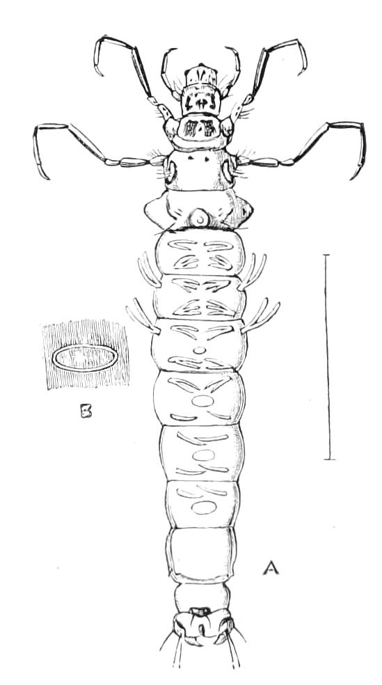 fig322
