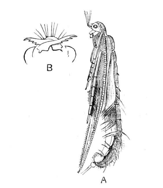 fig323