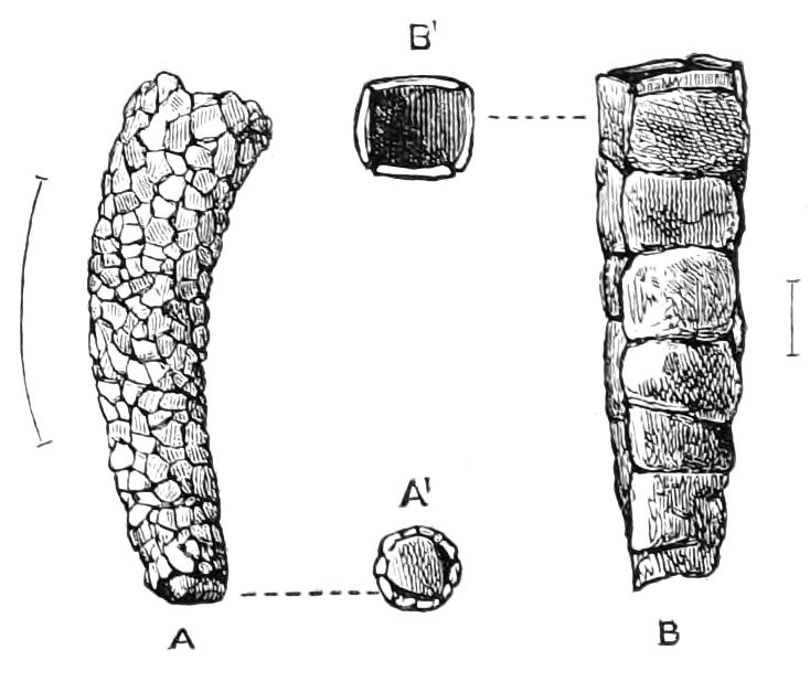 fig325