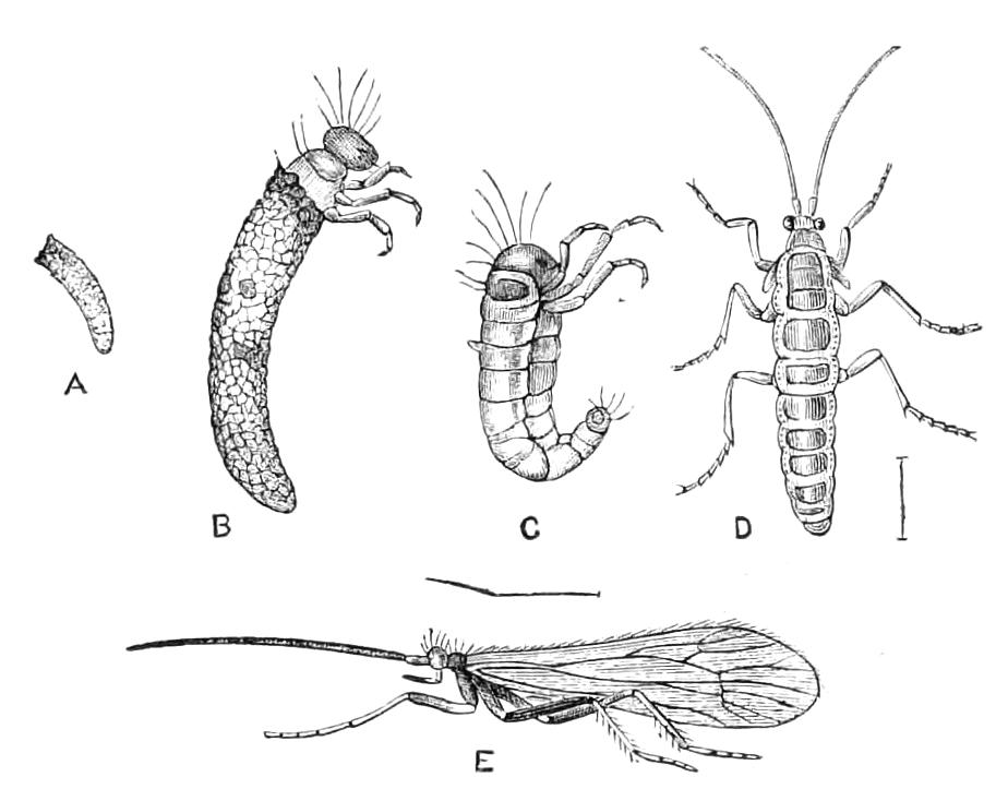 fig326