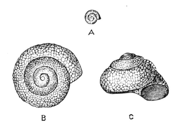 fig327