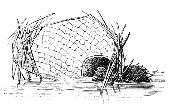 fig328