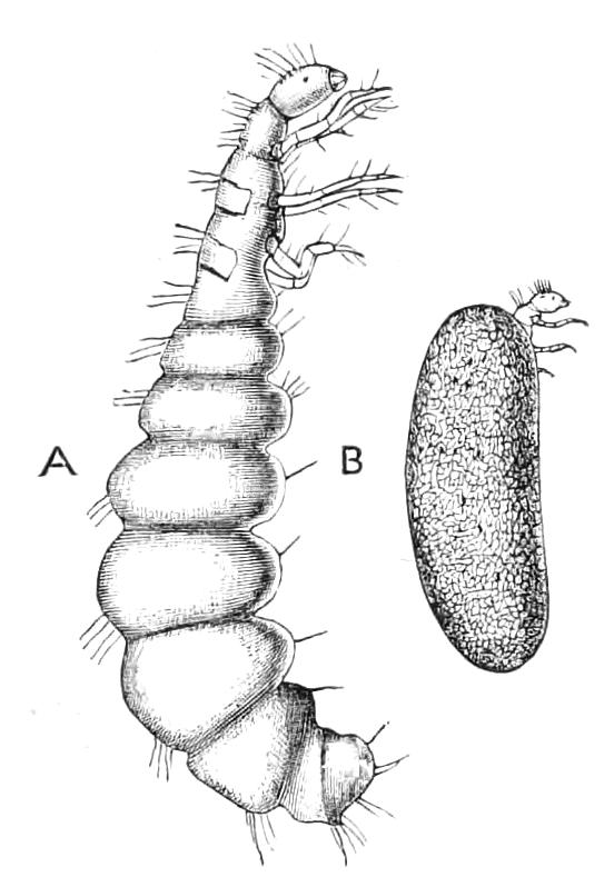 fig329