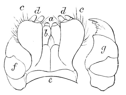 fig33