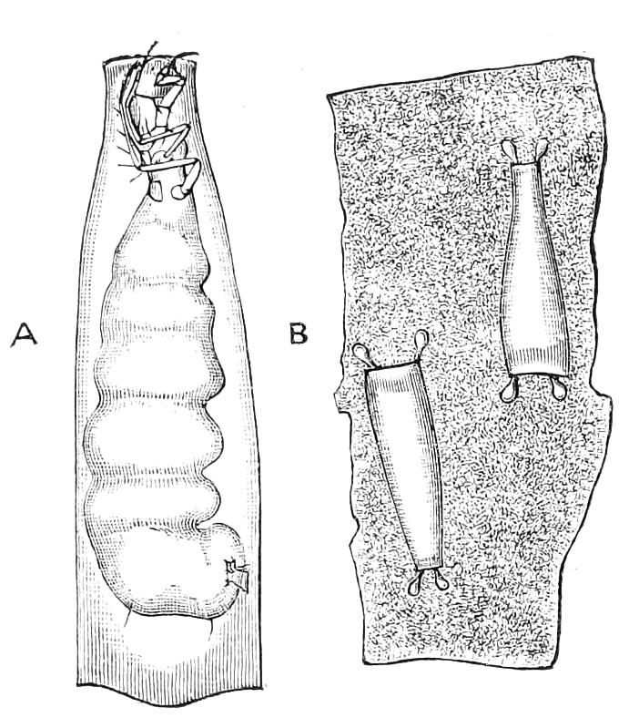 fig330
