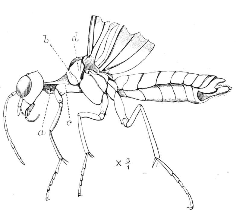 fig332