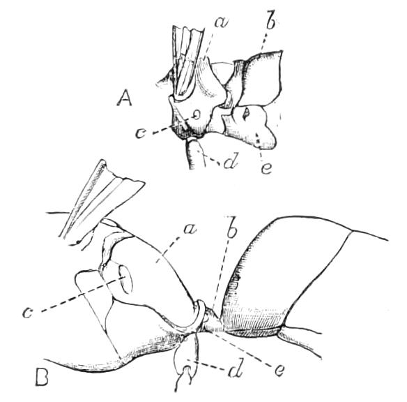 fig336