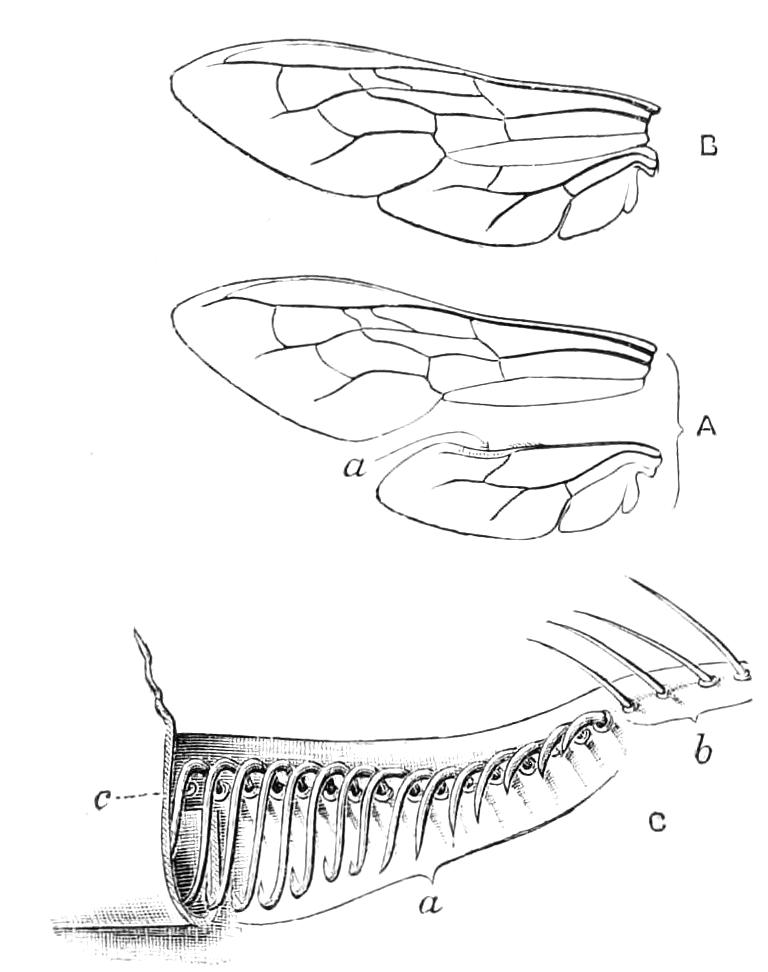fig337