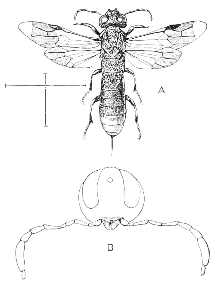 fig341