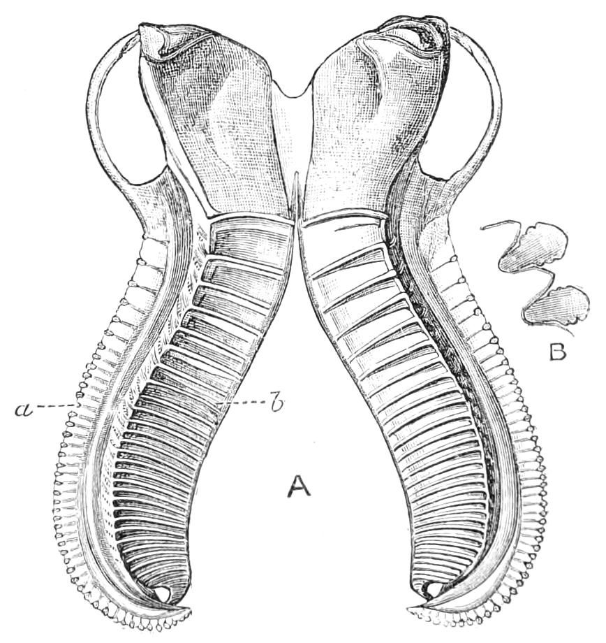 fig344