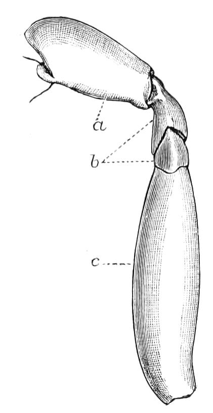 fig345