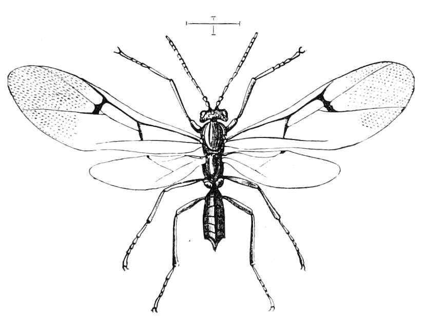 fig346