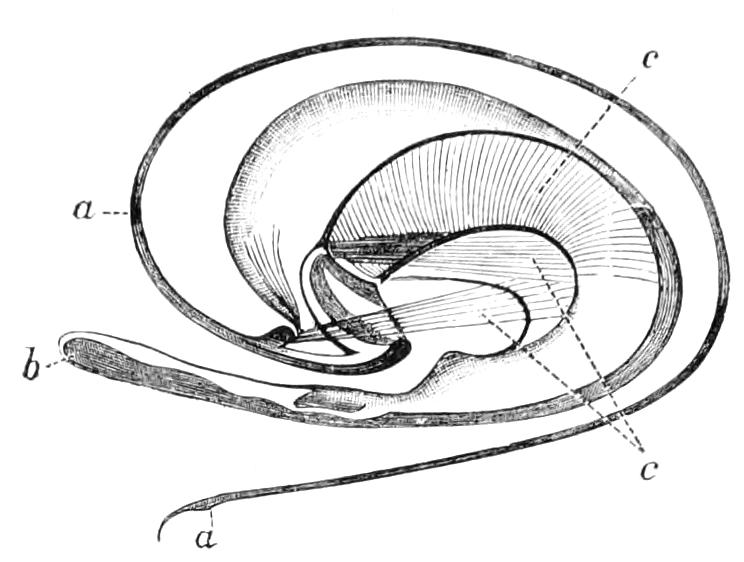 fig347