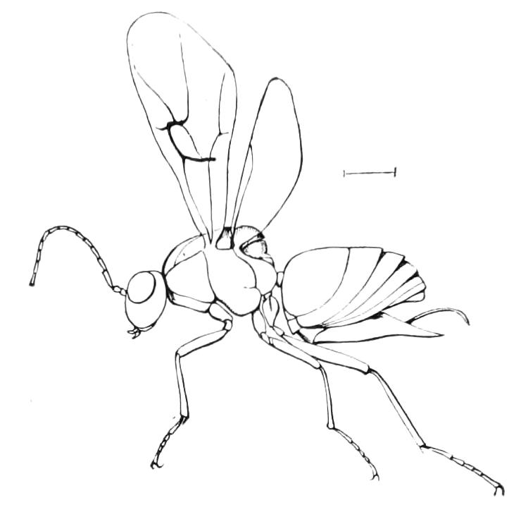 fig349