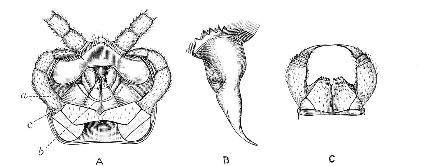 fig35
