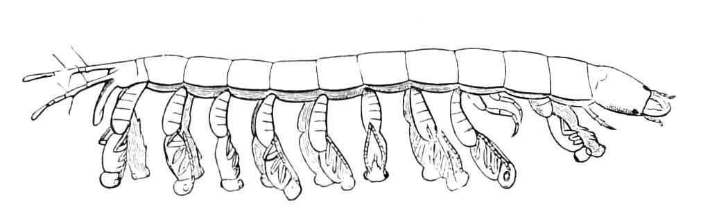 fig352