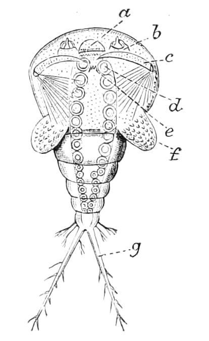 fig353