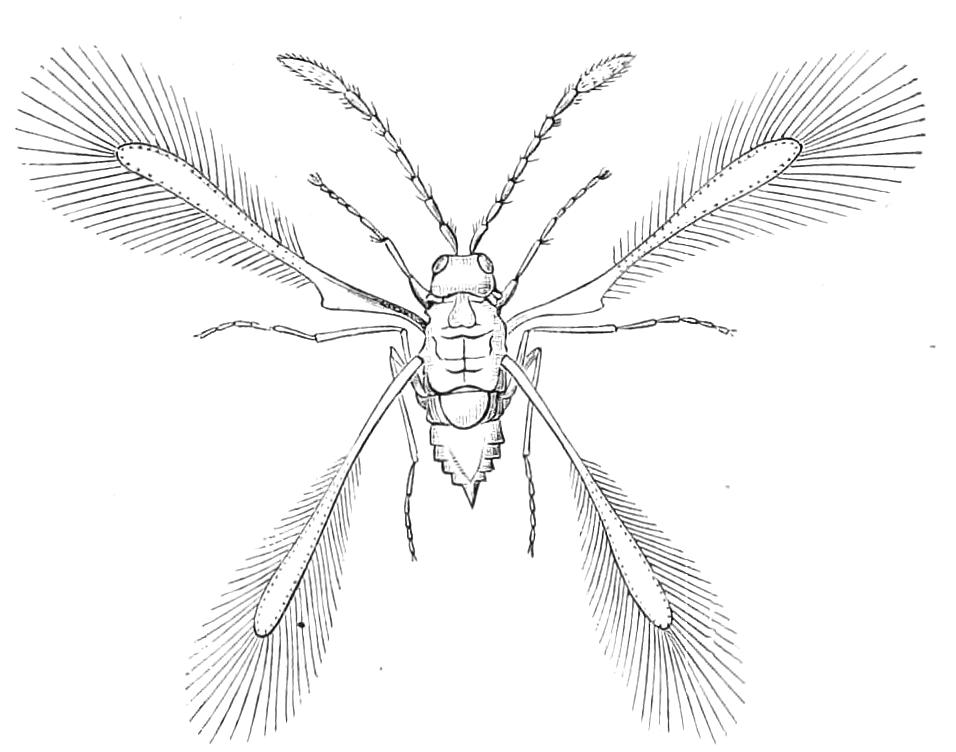 fig354