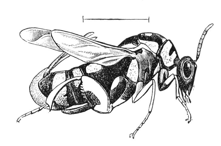 fig356