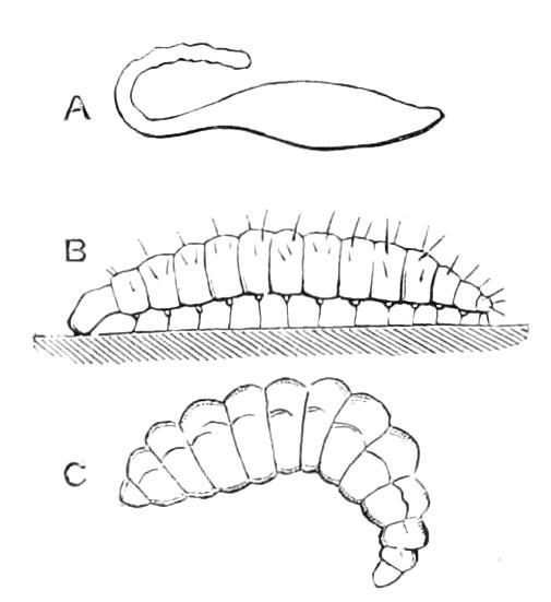 fig357