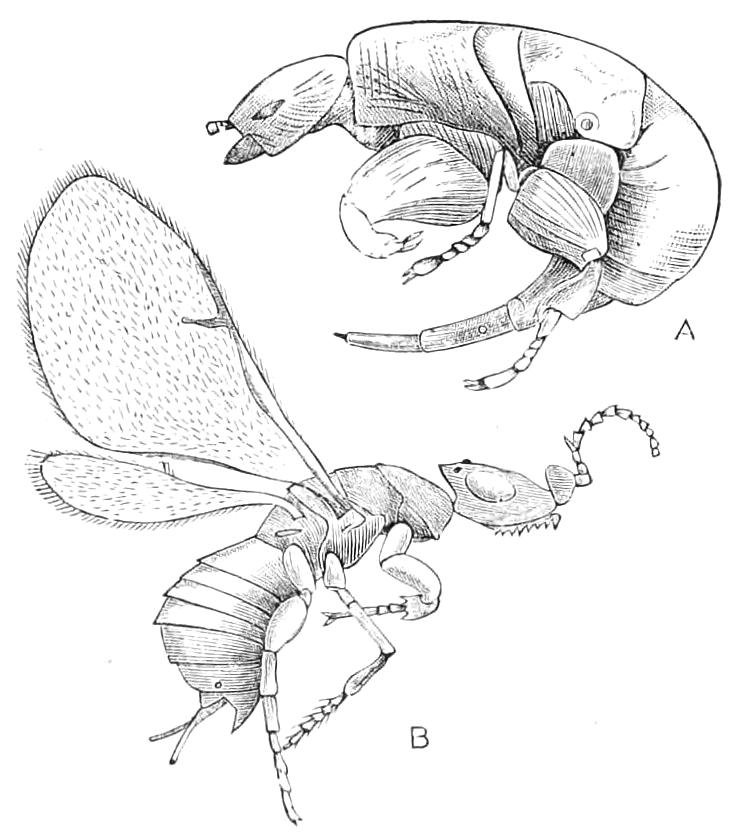 fig358