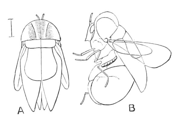 fig359