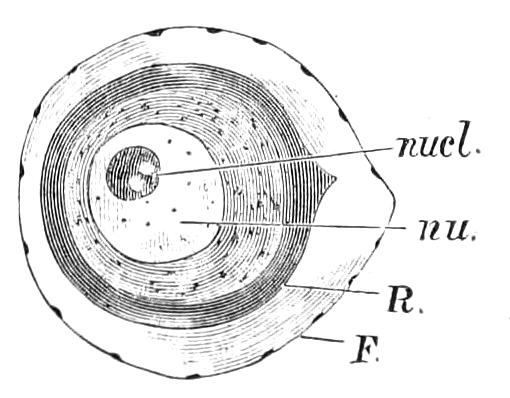 fig36