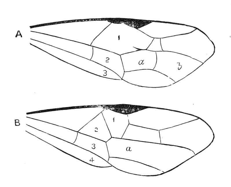 fig367