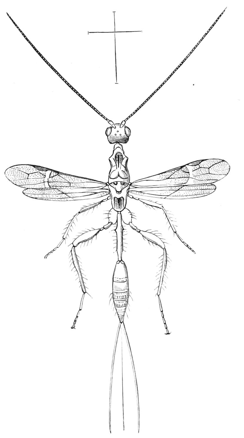 fig369