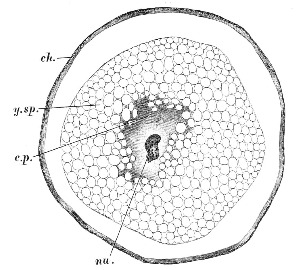 fig37