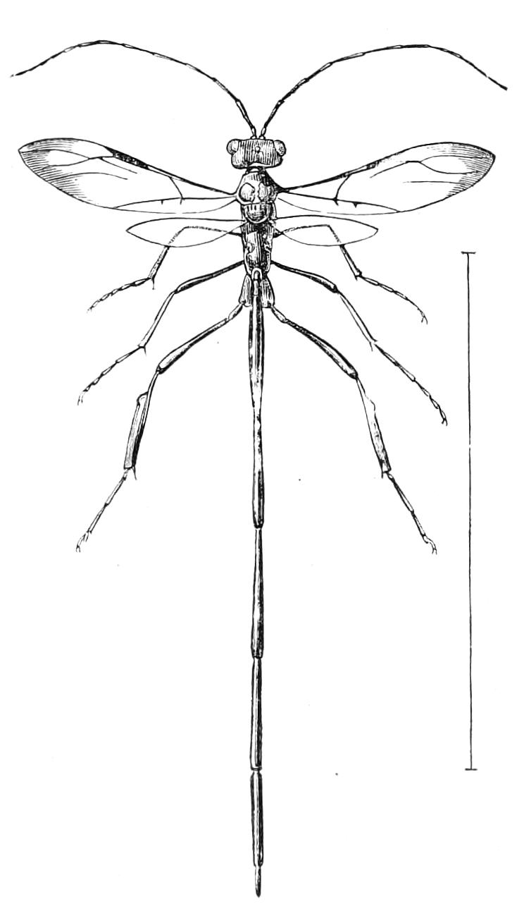 fig370