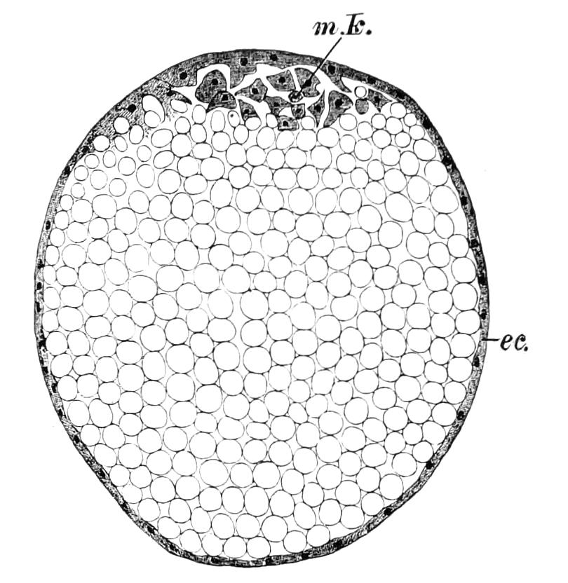 fig38